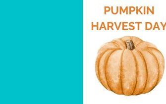 Pumpkin Harvest Day – 1st Grade