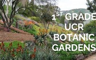 UCR Bontanic Gardens Field Trip